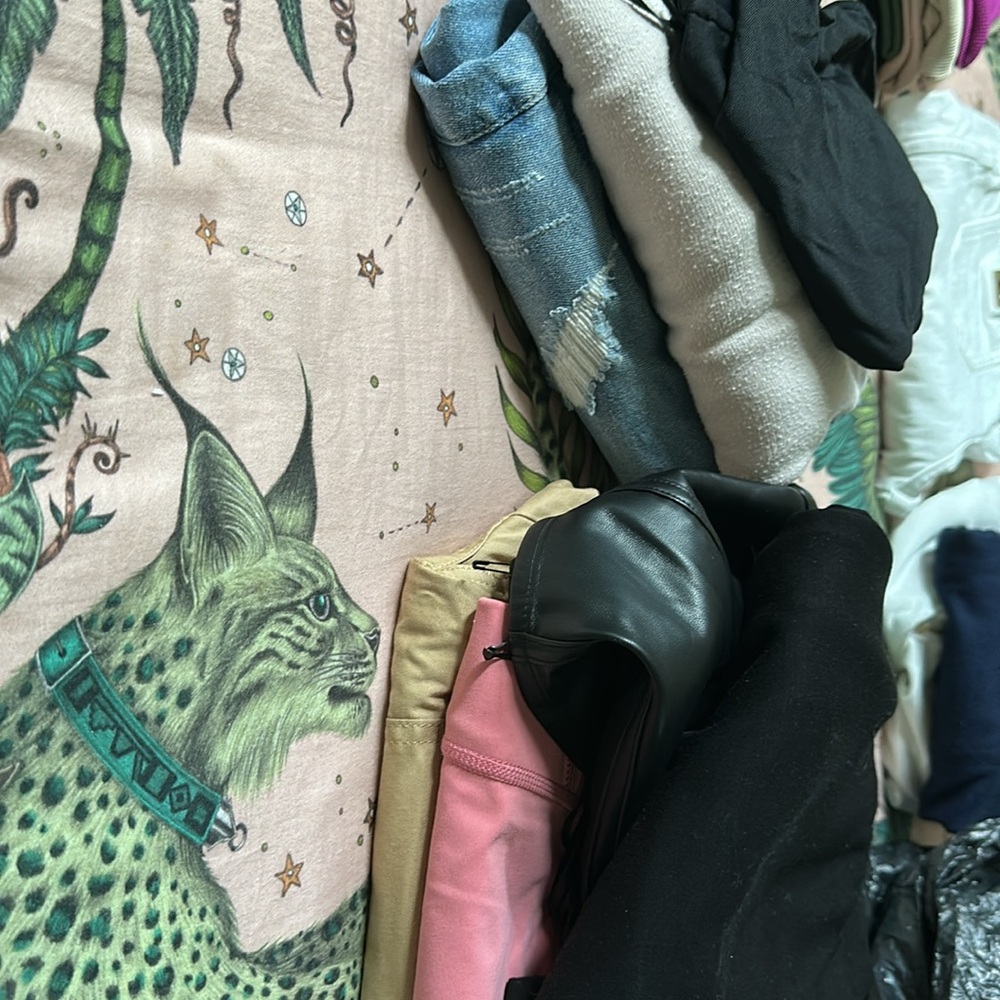 Random lot of women’s clothes